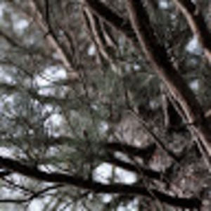 Meet your Posher, Jake